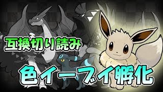 【ポケモンSM】互換切り来る読みイーブイ国際孵化！USUMのための準備すっぞ！【ライブ配信】