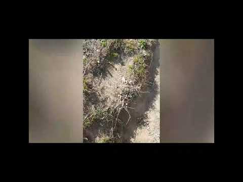 Drumeție 🤠🤠~Mlăjet~