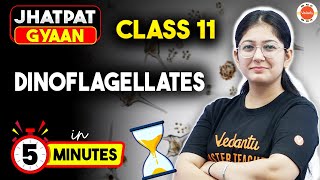 Dinoflagellates in 5 Min: Biological Classification | Class 11 Biology | Jhatpat Gyaan