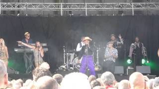 Kid Creole & The Coconuts - Annie, I'm not your daddy (Live @ Nostalgie Beach Festival 2014)