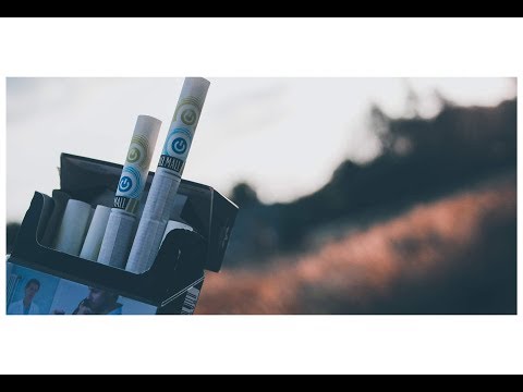 Kenz x Majkon ft. Alex - Pall Mall (prod. boyfifty)