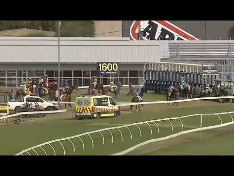 RACE 7 - TAMWORTH AUSTRALIA - 23 FEB 2026