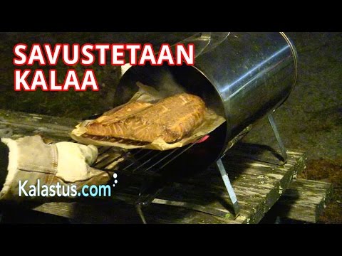 Kalan savustaminen: sähkösavustin