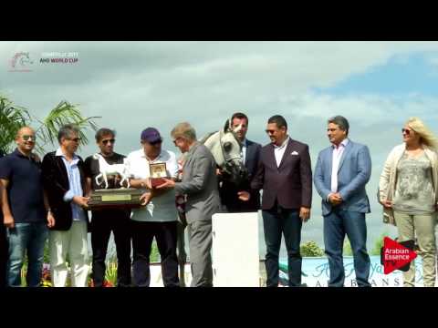 1st PLACE N.21 MALIKAT AL MOLUK - Chantilly 2017 World Cup - Fillies Championship (Class 12)
