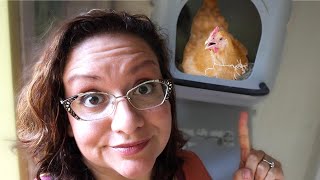 DON'T Make These NESTING BOX Mistakes! 😭🐔