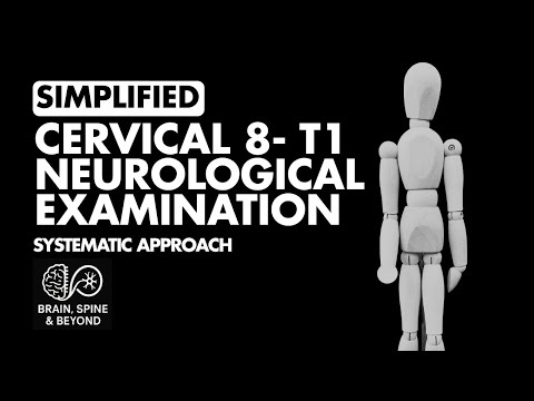 How to Examine C8 T1 Nerve Roots? Neurological Examination Simplified