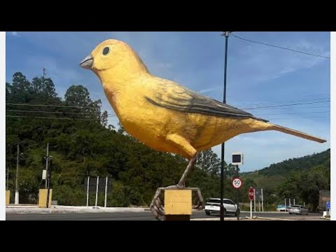 Você conhece a cidade de REDUTO - MG?