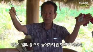 도시양봉학교 - 신왕(여왕벌) 유입 이후 관리