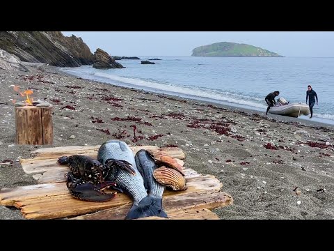 Small Boat - Big Adventure! Freediving and Underwater Foraging Cornwall