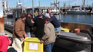 Mira Charleston Harbor