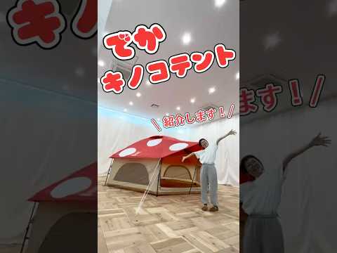「キノコテントが巨大化！？『でかキノコテント』が想像以上にすごすぎた…