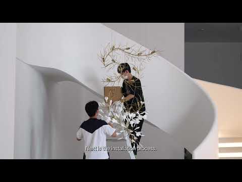 Video 5