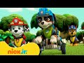 PAW Patrol Dinosaurierabenteuer Mit Rex Nick Jr Deutschland