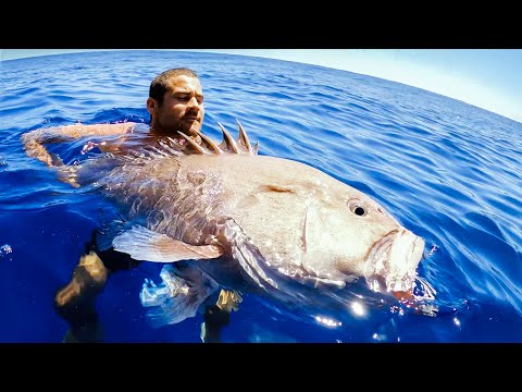 GIANT GROUPER DEEP SEA FISHING Giving Fish Away During Food Shortage - Ep 177