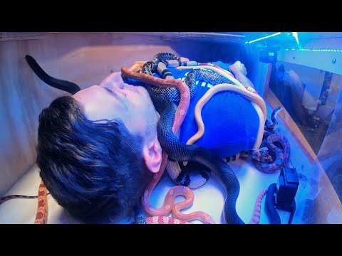 Laying in a Box of Snakes | OT 9 Video