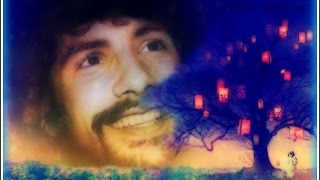 Drywood - Cat Stevens