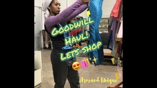 Let’s go Shopping Goodwill Haul