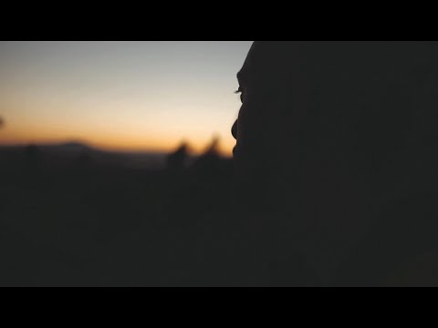 ZYME X DAMN DAD - "Nature Walk" (Official Music Video)