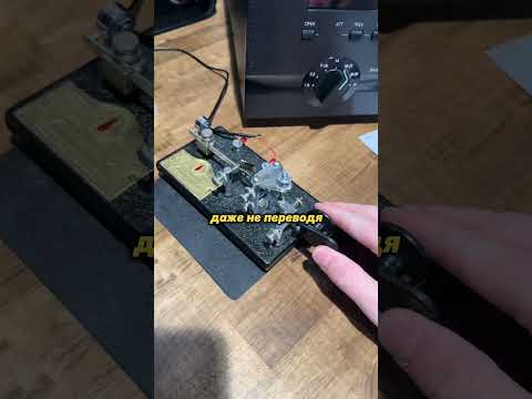 Для тебя это просто писк, а для них разговор 📡