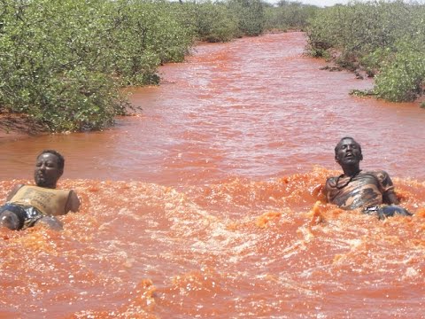 Daawo Sida uu daad u qaaday dad somali ah somaliland