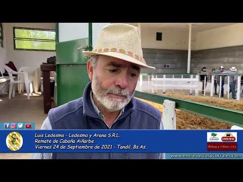 24-09-21 - Luis Ledesma - Ledesma y Arana S.R.L. - 10º Venta Anual de Cabaña Aiñarbe - Tandil, Bs.As