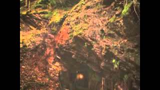 Baptists - Bloodmines