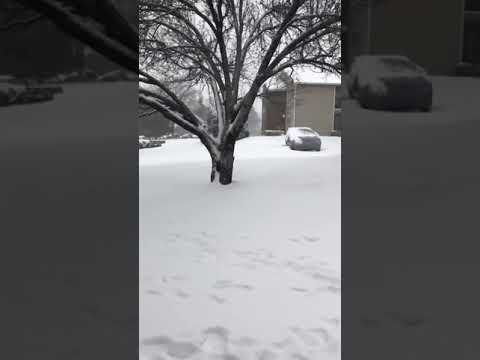 Nevada en Little Rock Arkansas.16-02-2021