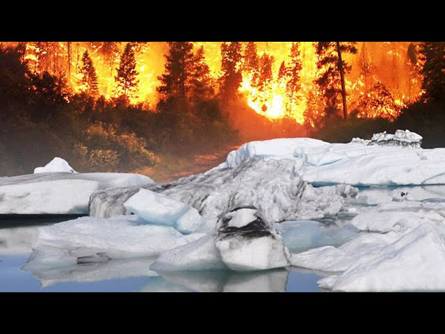 В Усть-Куте чиновников подозревают в поджогах леса
