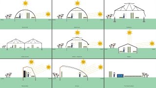 What Type of Greenhouse Should You Build? What Type of Greenhouse Should You Build?