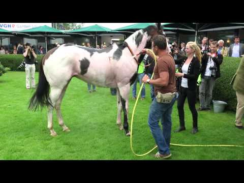 Silvery Moon  in Hannover