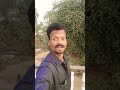 Tum Paas Ho Magar New Super Gold Filmi Song