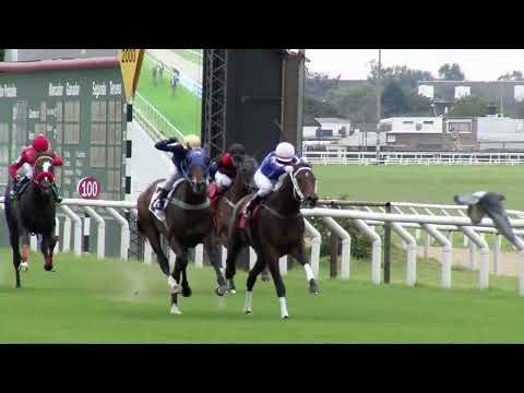 230611 c01 ALGARROBO