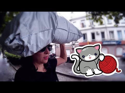 Хулиганьё так развлекается в 5 утра? /   Новый обормотик...