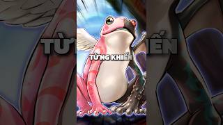 Substitoad | Yugioh | Hiệu ứng 🔥#yugioh #xuhuong #yugiohcards #yugiohtcg