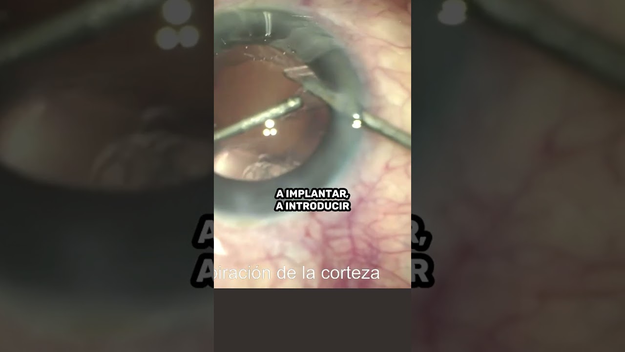 Andrés Felipe Arango Durango-1