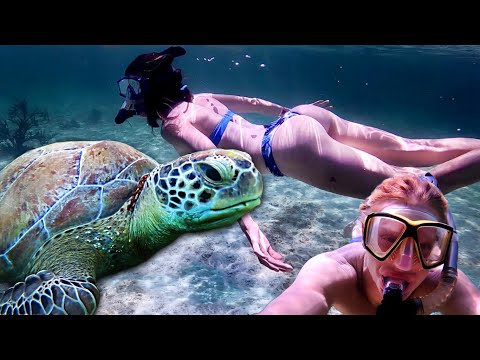 image-How long is the Akumal trail?