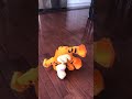 Tumble Time Tigger