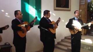 preview picture of video 'Quinteto Voces y Cuerdas - Cordero de Dios (Imperial CA)'