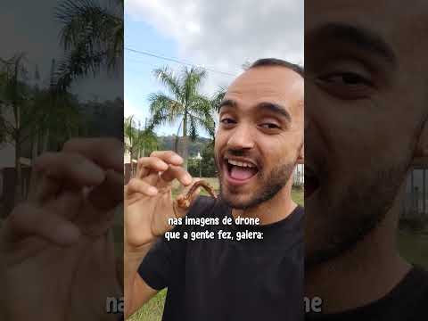o quintal da vez é Afonso Cláudio/ES