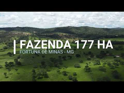 Fazenda Fotuna de Minas - MG 177Ha