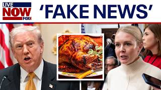 Trump, Karoline Leavitt clash with 'fake news' over Thanksgiving prices