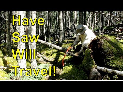 Portage Trail Blowdown Clearing - Part 2: Solo 4-day canoe trip, Spring 2018