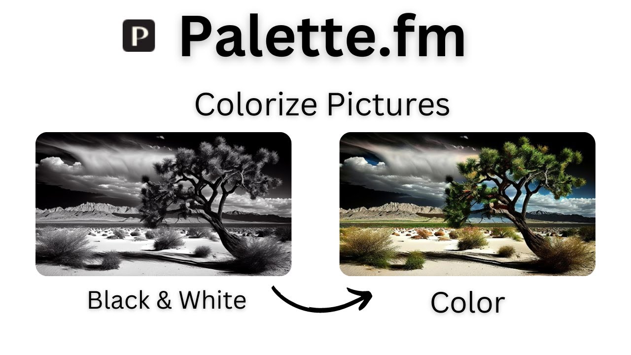 AI Palettes tutorial