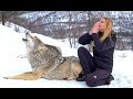 I HOWL WITH NORWEGIAN WOLVES - WOLF HOWL