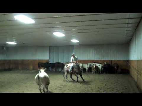 Kyle Noyce-Bridleless Cutting