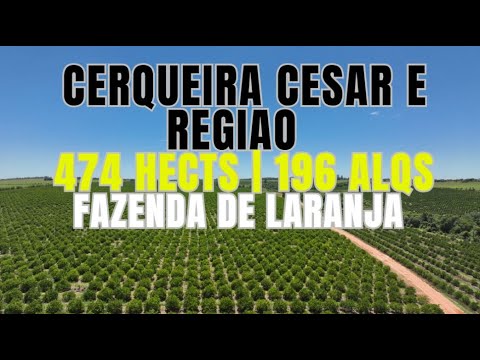 Fazenda de Laranja 474 ha em Produção Plena | Cerqueira César–SP | Alto Potencial  (FAZ 285)