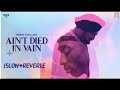 Ain T Died In Vain Snow Reverb Prem Dhillon Tribute To Moosewala New Punjabi Song Slow Reveble