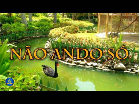 Hinário Adventista 382 - NÃO ANDO SÓ