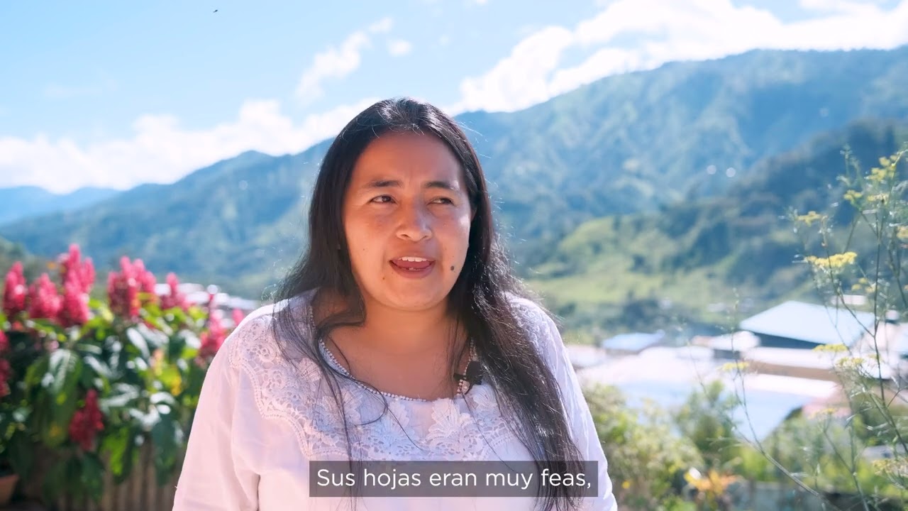 Raíces de resiliencia: mujeres de Herrera, Tolima sostienen la paz