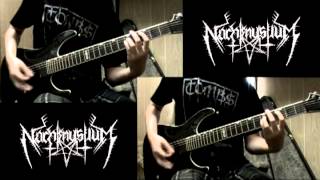 Nachtmystium - Ghosts of Grace (dual guitar cover)